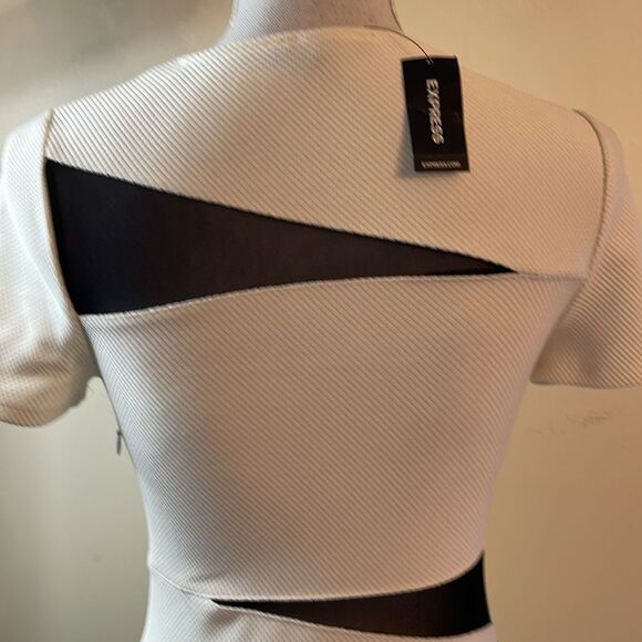Express BodyCon Dress - Picture 5 of 11